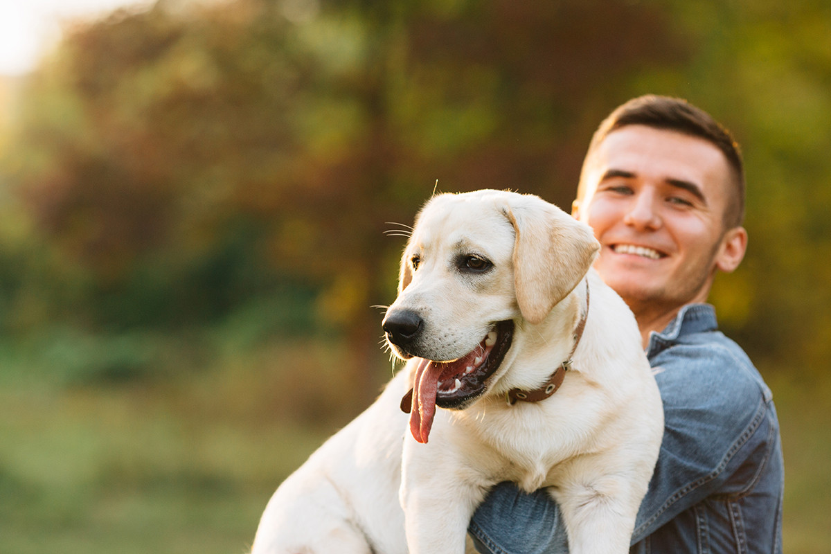 Ter um animal de estimação faz bem para a saúde | Oeste Saúde - Planos de Saúde