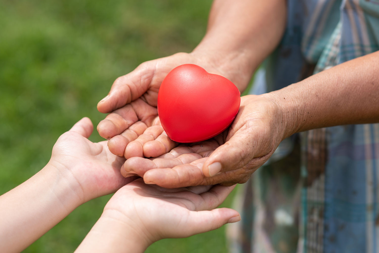 Solidariedade: como ser doador de órgãos? | Oeste Saúde - Planos de Saúde